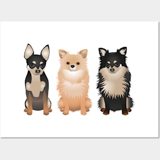 Chihuahua friends Posters and Art